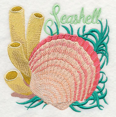 Seashell on the Shore - Image 4