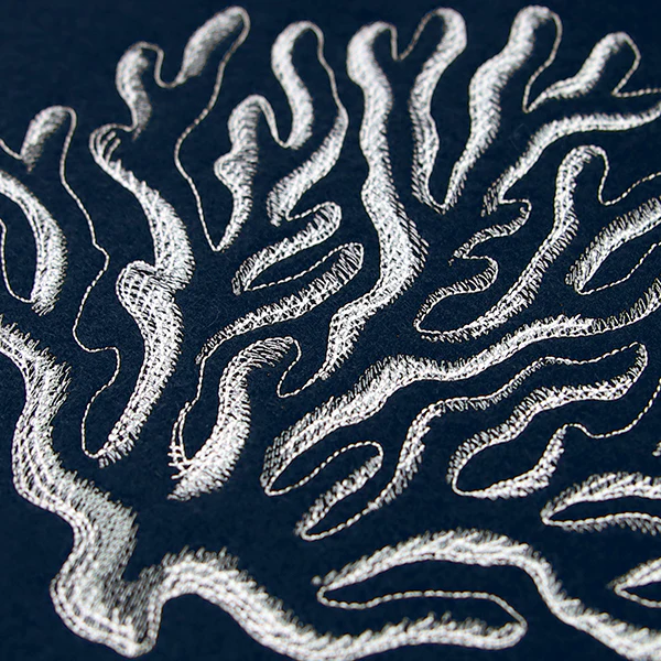 Seaside Etchings - Coral - Image 8