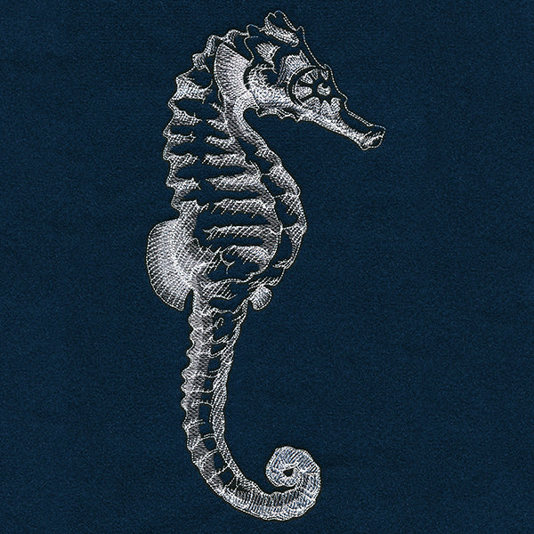 Seaside Etchings - Seahorse - Image 9