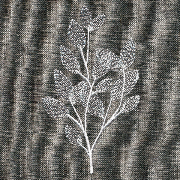 Sheer Beauty Botanicals - Magnolia Leaves - Image 5