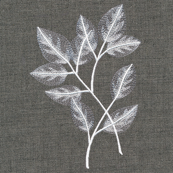 Sheer Beauty Botanicals - Rose Leaves - Image 4