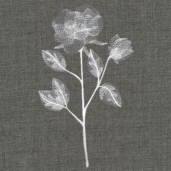 Sheer Beauty Botanicals - Roses - Image 3