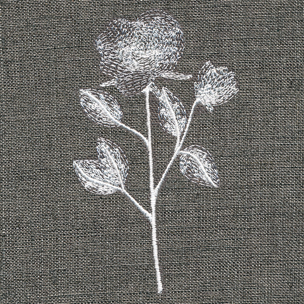 Sheer Beauty Botanicals - Roses - Image 5