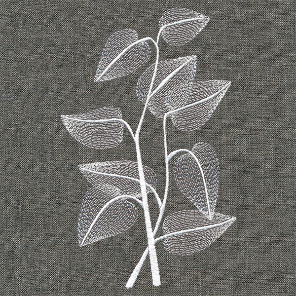 Sheer Beauty Botanicals - Sunflower Leaves - Image 4