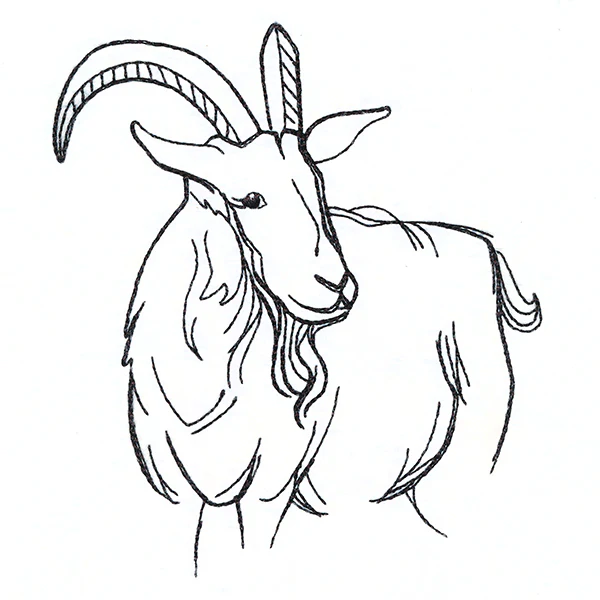 Simple Farm Sketch - Goat - Image 3