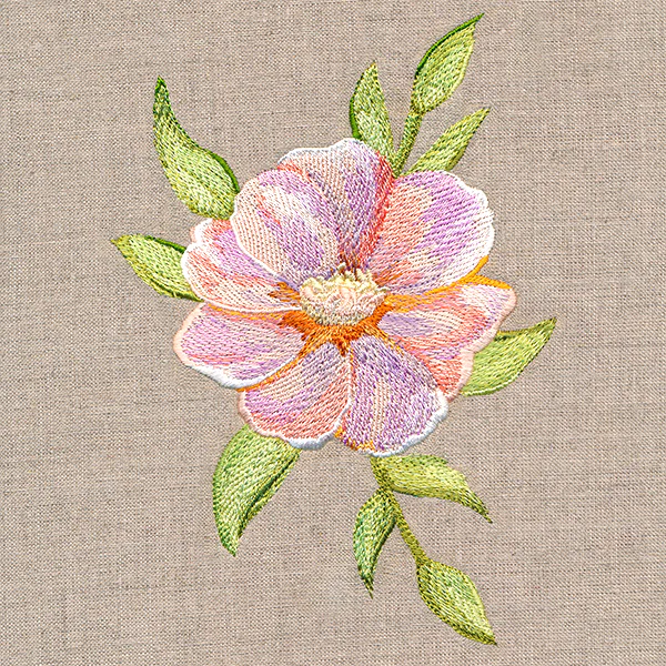 Soft Magnolia Bloom - Image 5