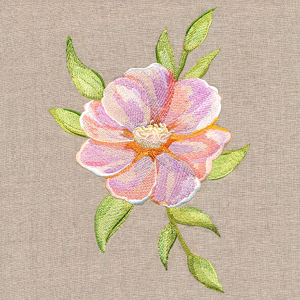 Soft Magnolia Bloom - Image 7