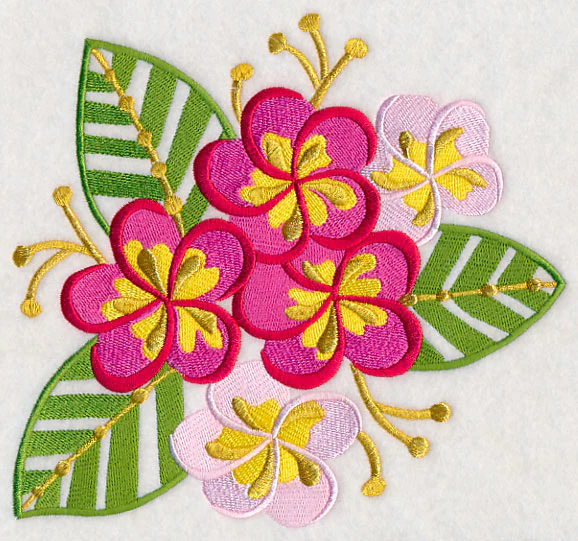 Some Like It Hot - Frangipani - Image 6