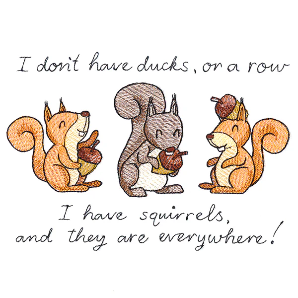 Squirrels Everywhere - Image 3