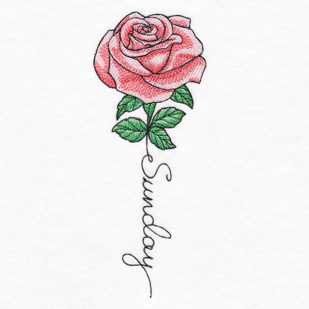 Sunday Bloom Rose - Image 4