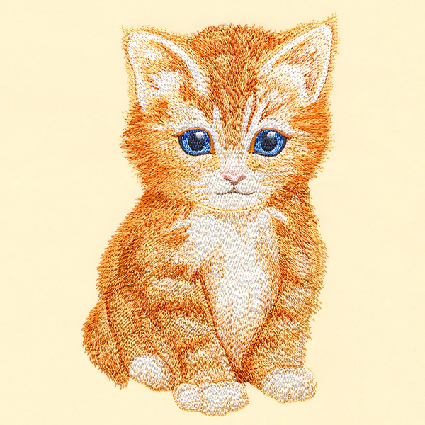 Sweet Baby Kitten - Image 2