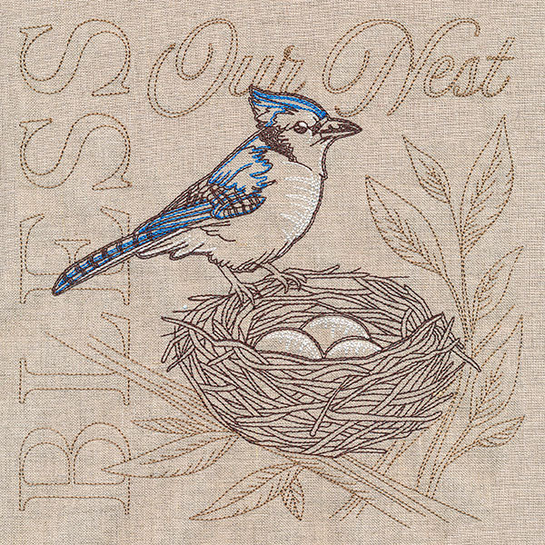 Sweet Blue Jay Medley - Image 9