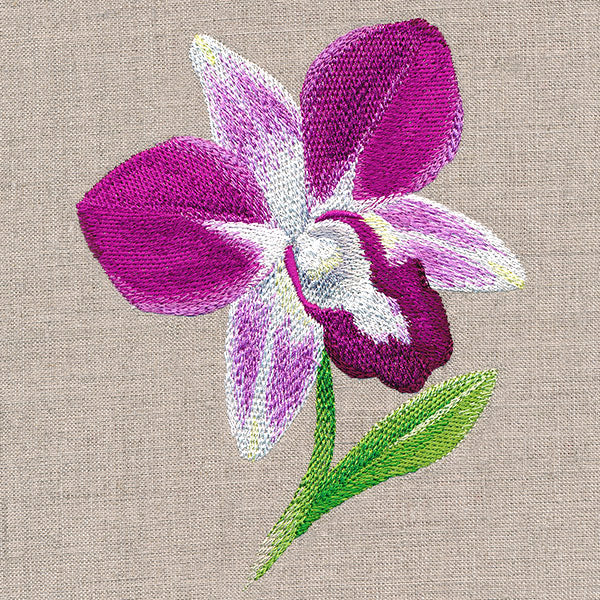 Sweet Purple Orchid - Image 5