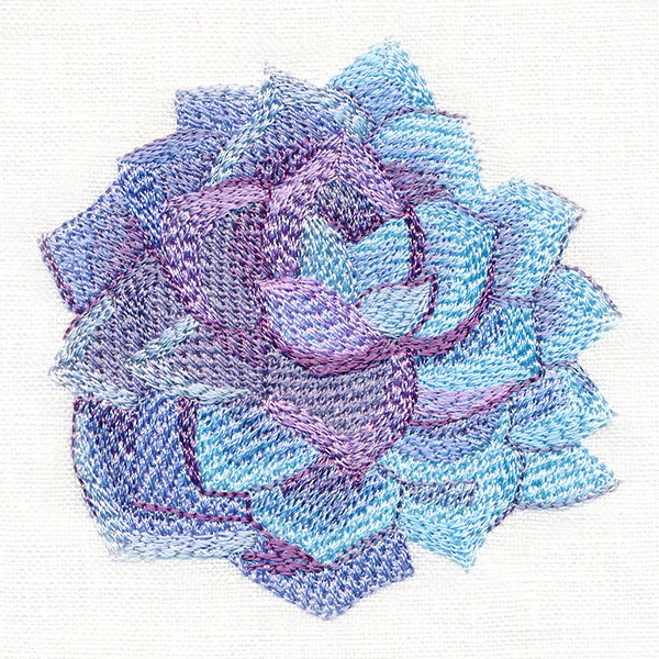 Sweet Succulent in Watercolor - Image 3