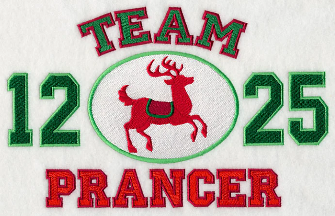 Team Prancer - Image 2