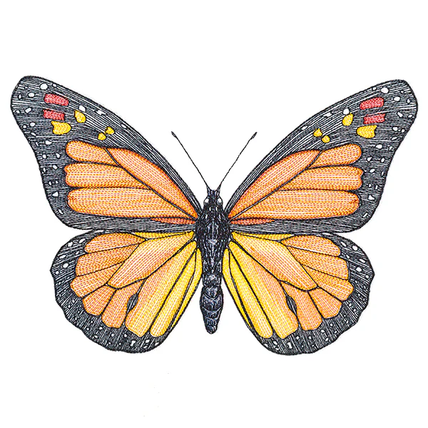 Vibrant Monarch Etching - Image 2