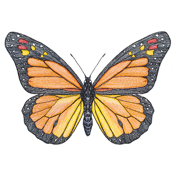Vibrant Monarch Etching - Image 3