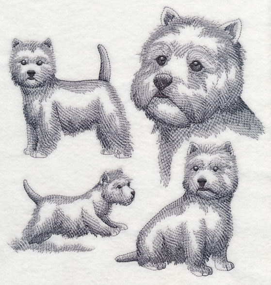 West Highland Terrier Sketch - Image 5
