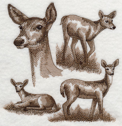 White-tailed Deer Sketch - Image 2