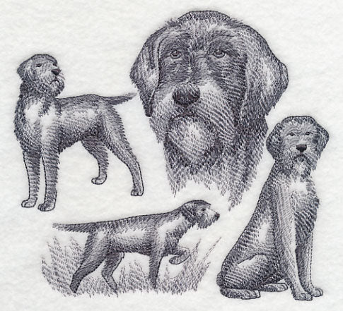 Wirehaired Pointing Griffon Sketch (Full Tail) - Image 2