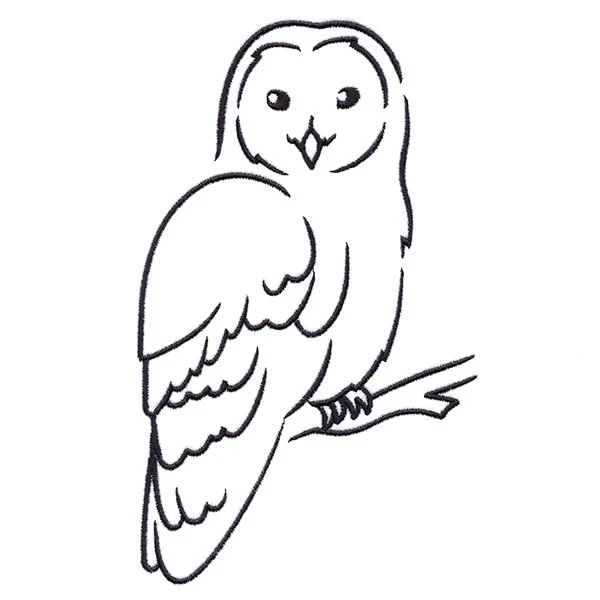 Wise Winter Owl - Image 4