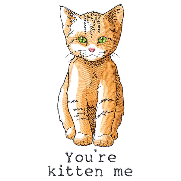 You're Kitten Me - Image 9